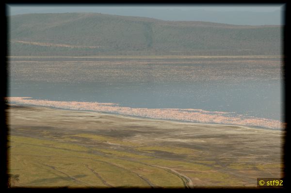 DSC_1459