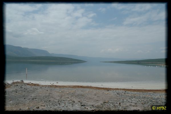 DSC_1802