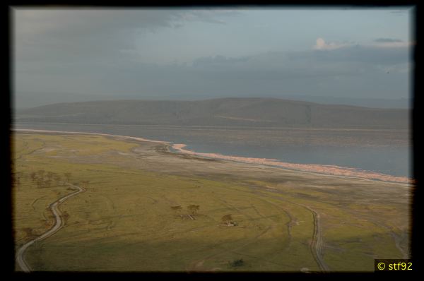 DSC_1464