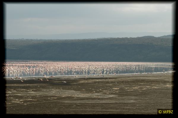DSC_1433