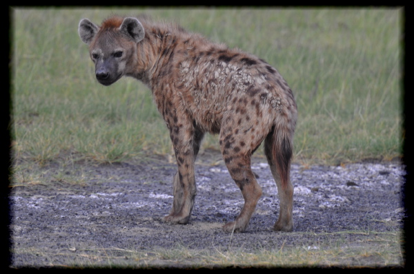 100130-18h38m53_DSC08918