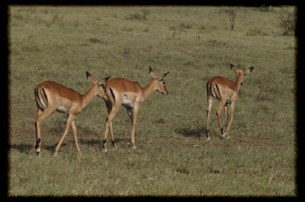 100130-16h43m44_DSC08782
