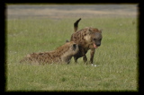 100130-18h40m42_DSC08928