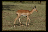 100130-16h43m55_DSC08783