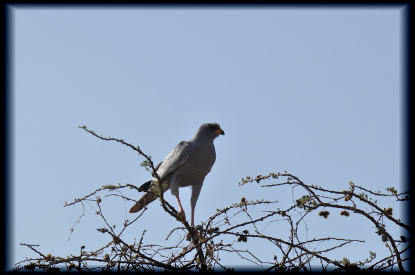 100202-16h27m45_DSC09510