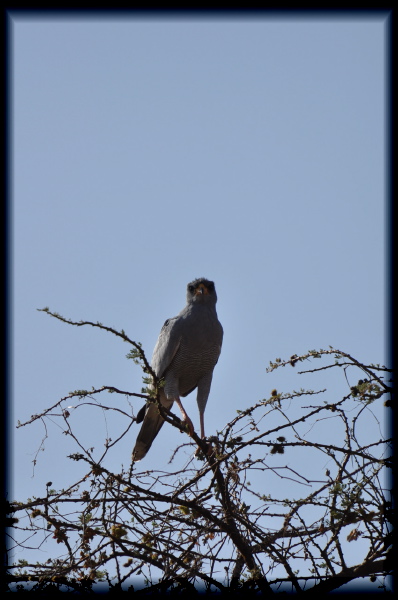100202-16h30m43_DSC09520