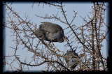 100202-17h03m39_DSC09632