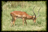 100204-11h35m52_DSC11212