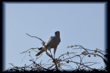 100202-16h27m41_DSC09508