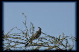 100202-17h54m37_DSC09778