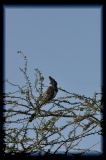 100202-17h55m42_DSC09790