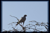 100202-16h27m45_DSC09510